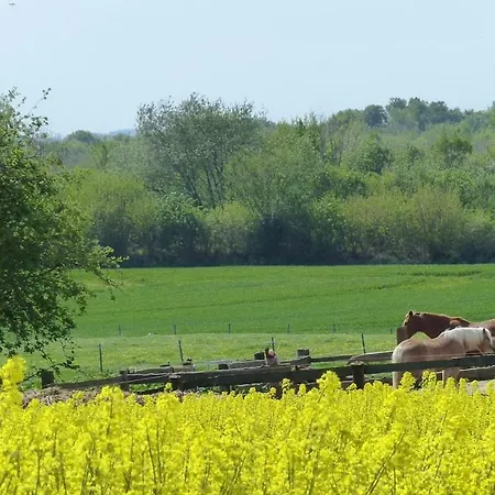Farm Fraulund - Ohle Hof